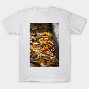 Fallen Leaves T-Shirt